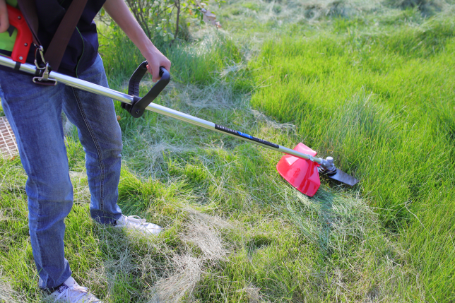 割草機使用現場(chǎng)